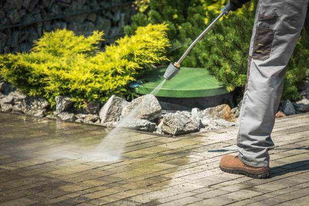 Best Animal Enclosure Cleaning  in Rutland, VT